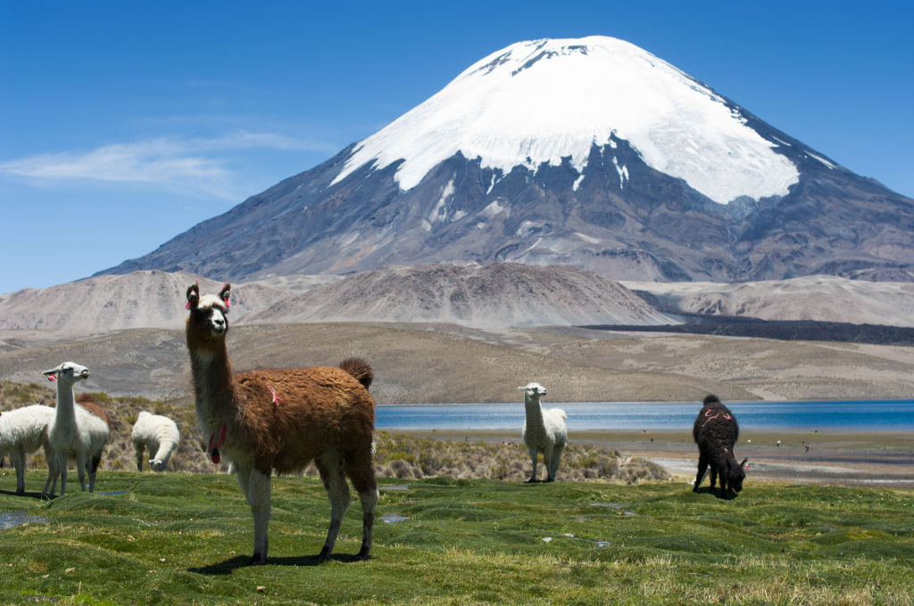 Chile, Parinacota, Provincia de Parinacota