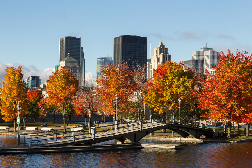 Vue sur le bassin Bonsecours et le centre-ville de Montréal