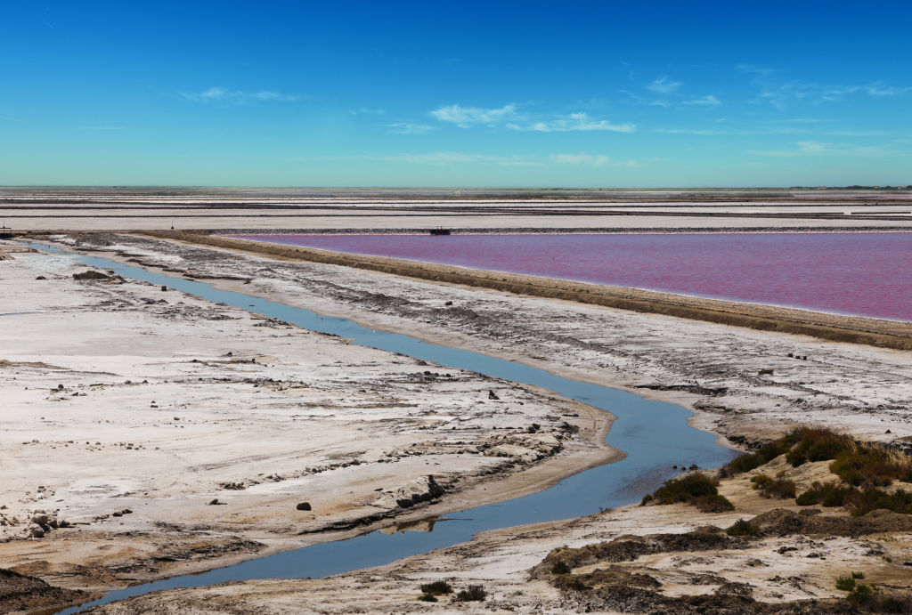 Urlaub in der Camargue entdeckt eure wilde Seite