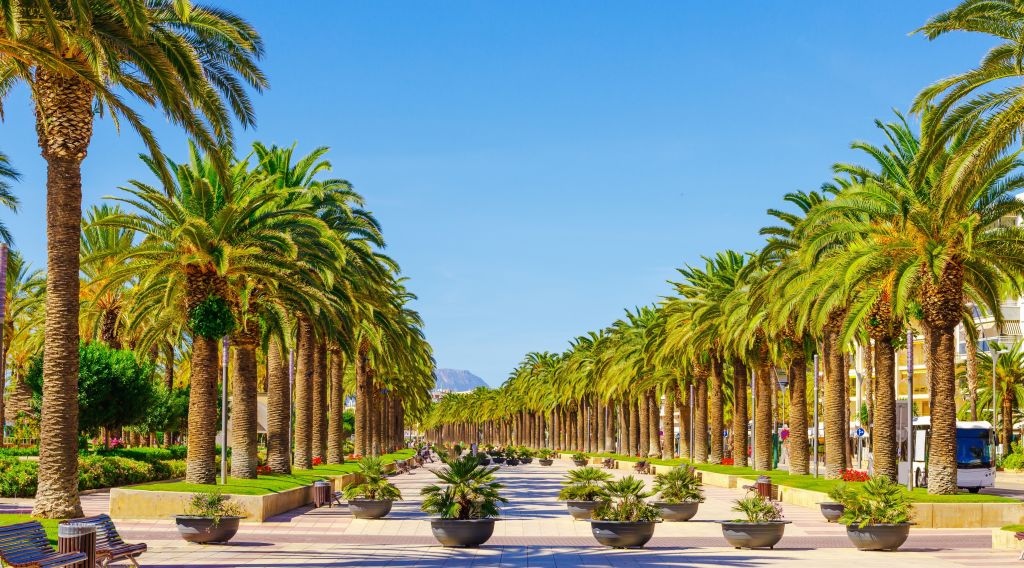 Boulevard met palmbomen in Salou