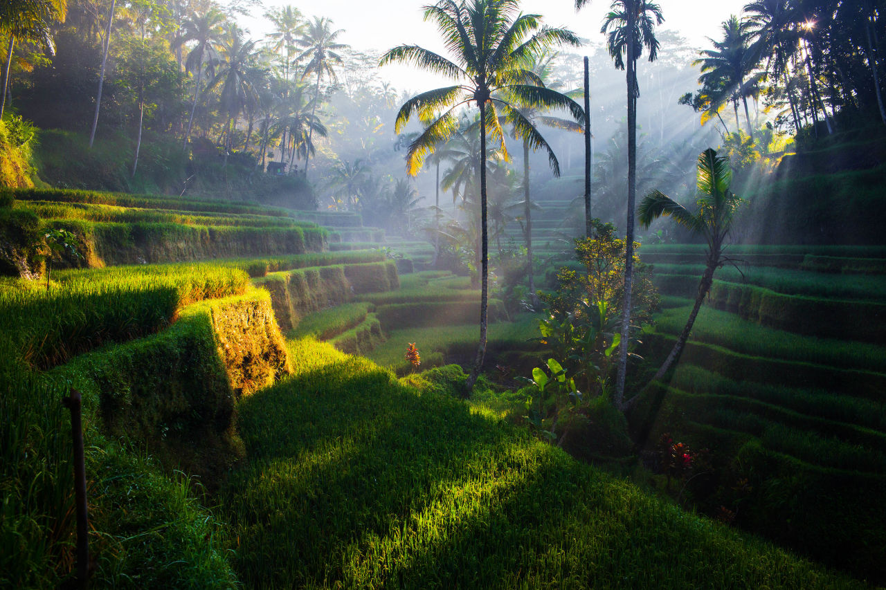 Insel Bali Natur Indonesien
