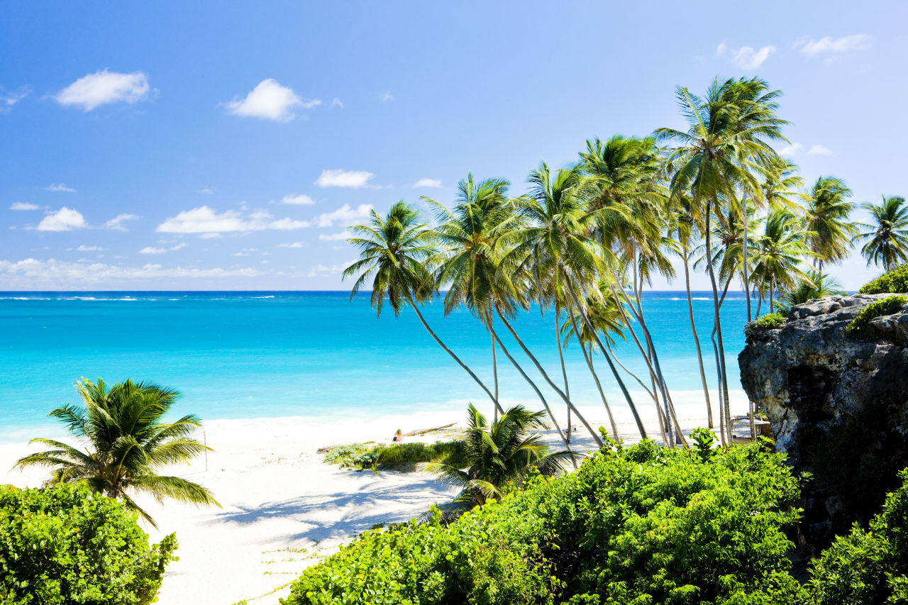 Barbados Palmen Meer Strand
