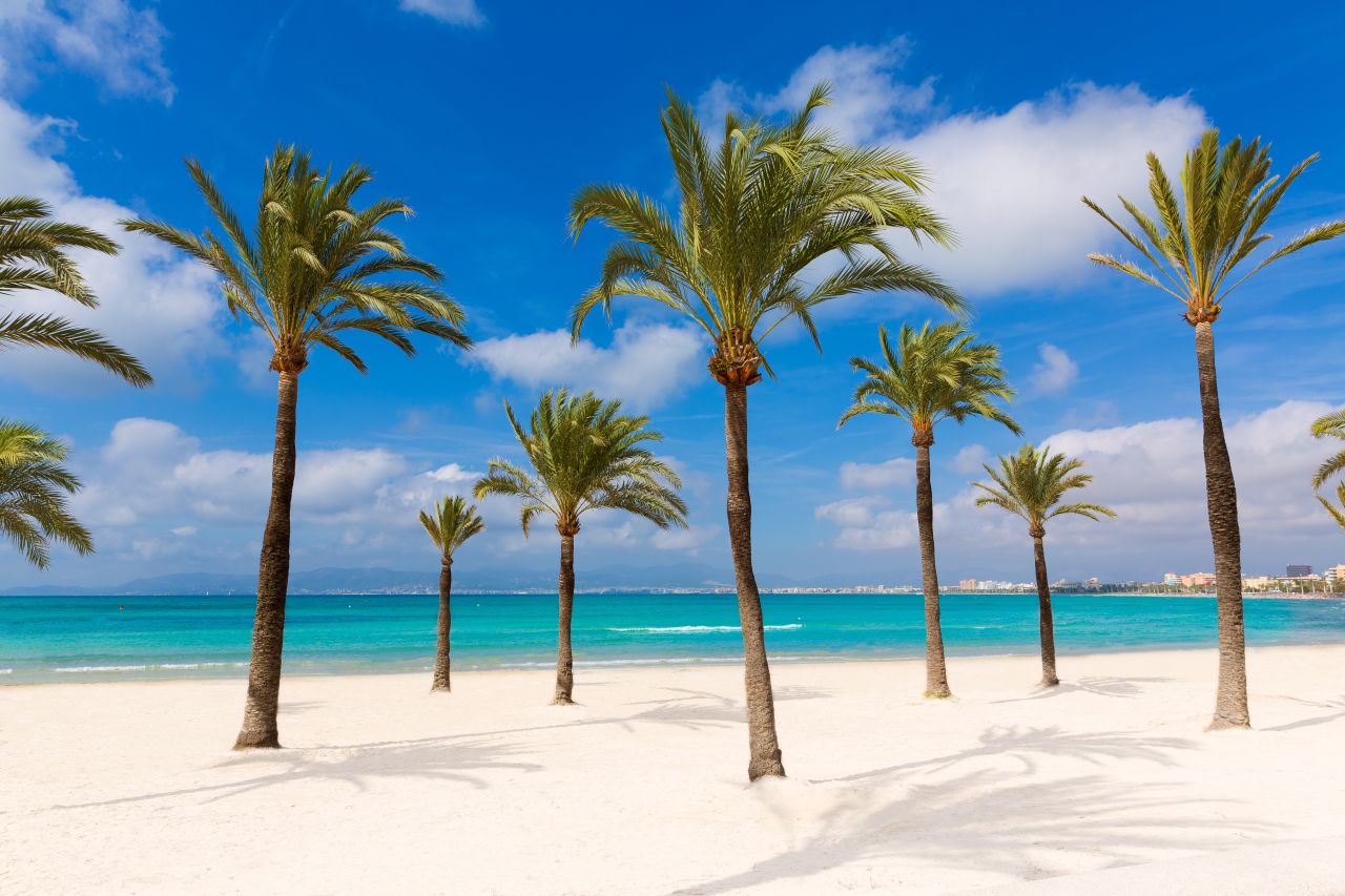 Strand, Palmen, Meer in Mallorca