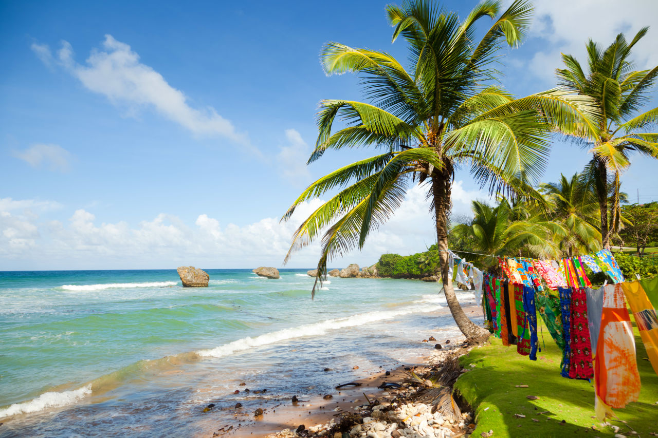A tranquil beach in Barbados