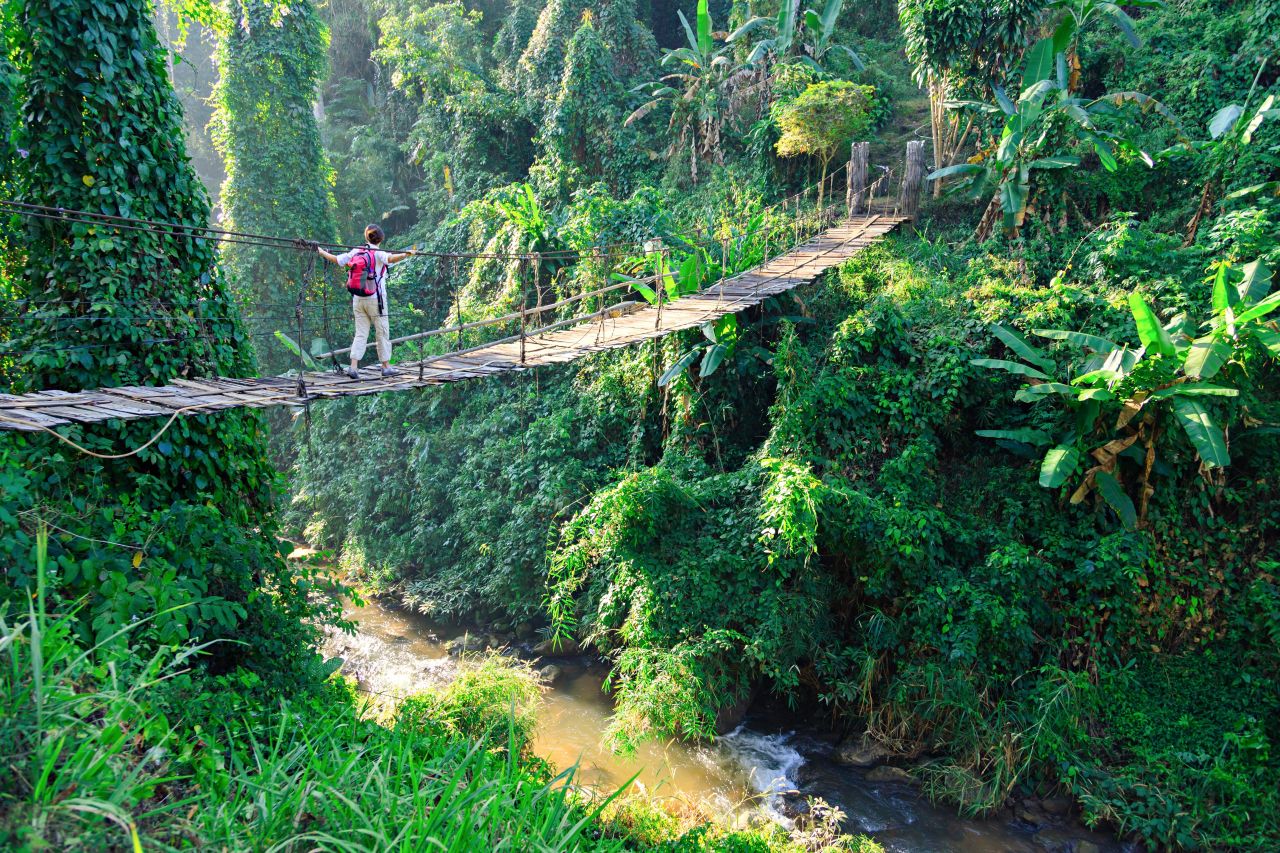 Person auf einer Hängebrücke im Regenwald von Thailand