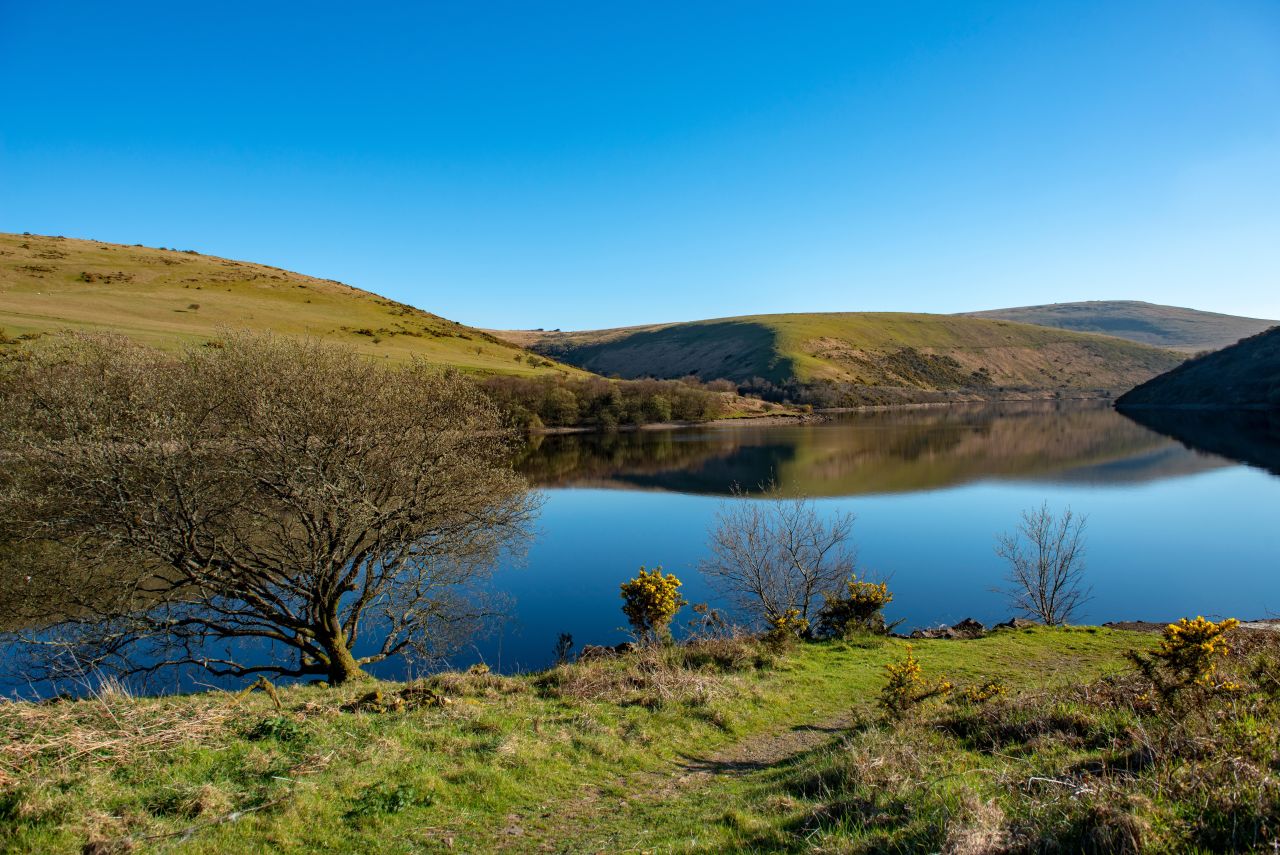 Lovely countryside near a glamping resort in Devon