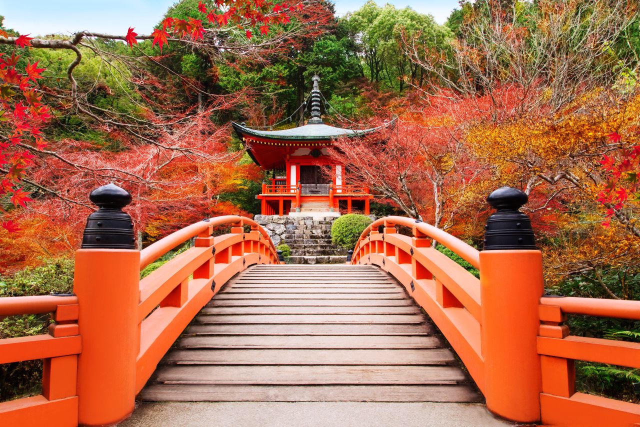 Fly to tokyo japan