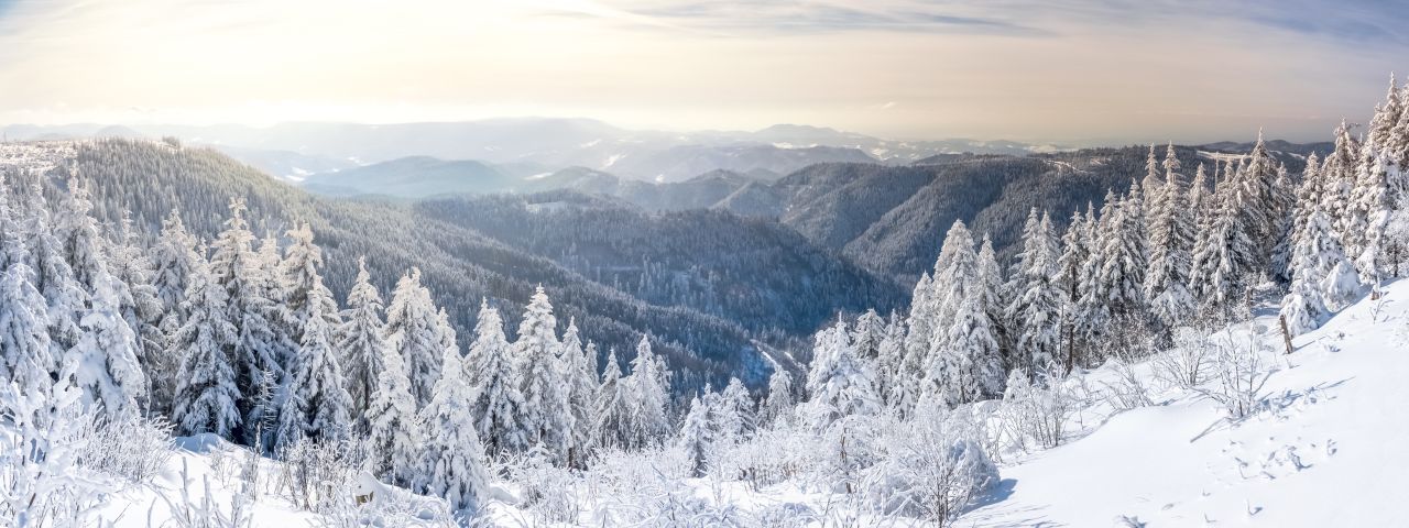 Schwarzwald im Winter Berge mit Schnee