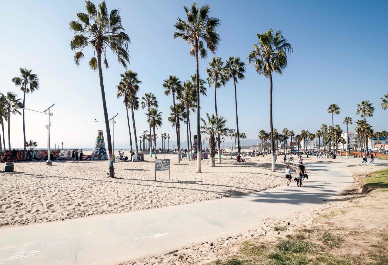 Los Angeles, Venice Beach with palm trees