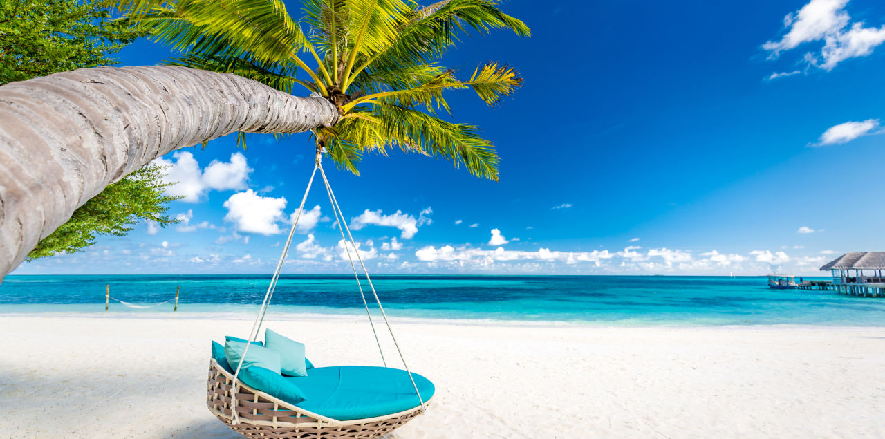 A lounge chair hanging from a tree on a beach in the Maldives, Asia