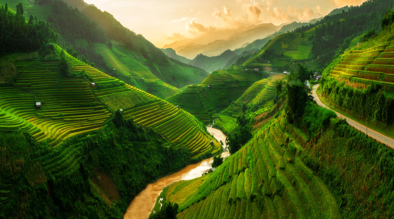 Reisfelder von Sapa, Vietnam