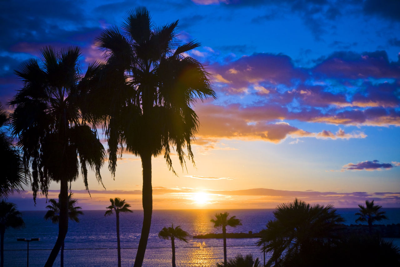 Urlaub auf Gran Canaria Sonne, Palmen, Strände