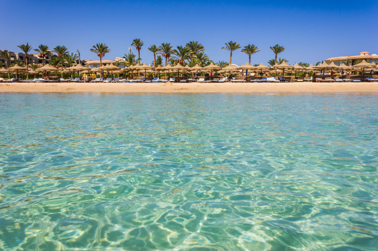 Strand mit Palmen in Ägypten