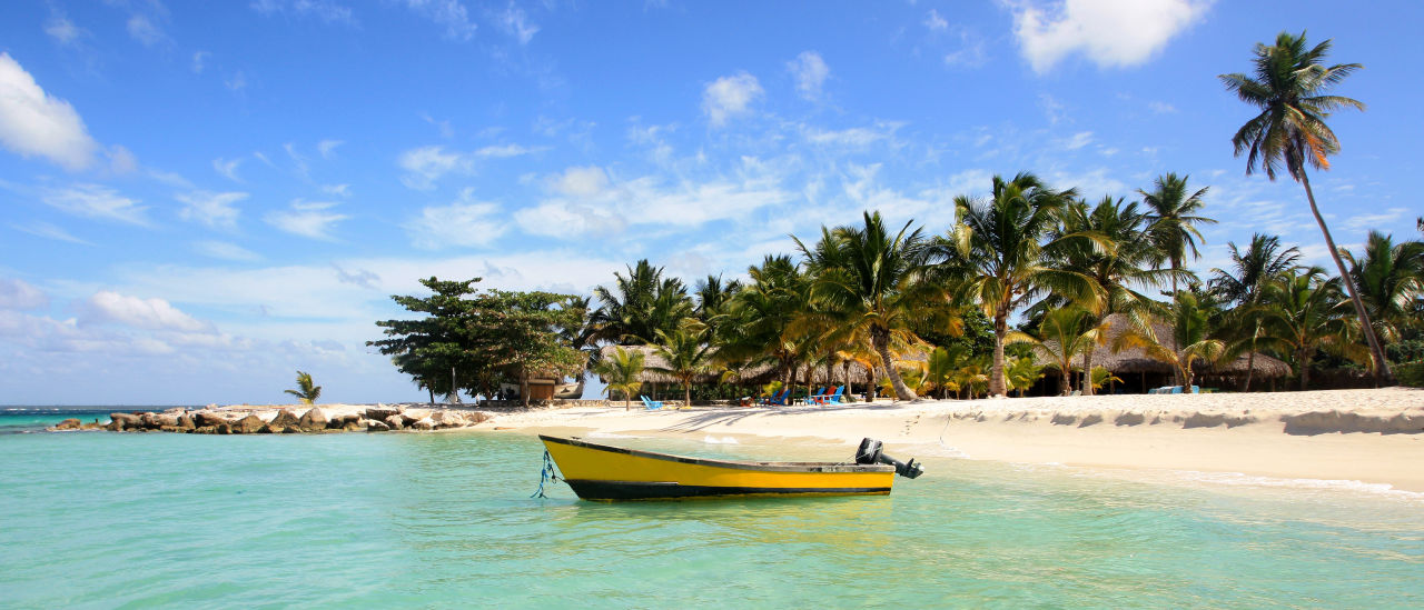 Petit bateau jaune à moteur sur une plage bordée de cocotiers à Bayahibe, en République dominicaine