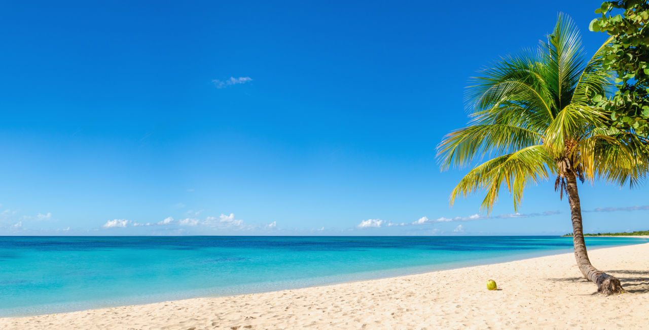 A perfect tropical white sand beach