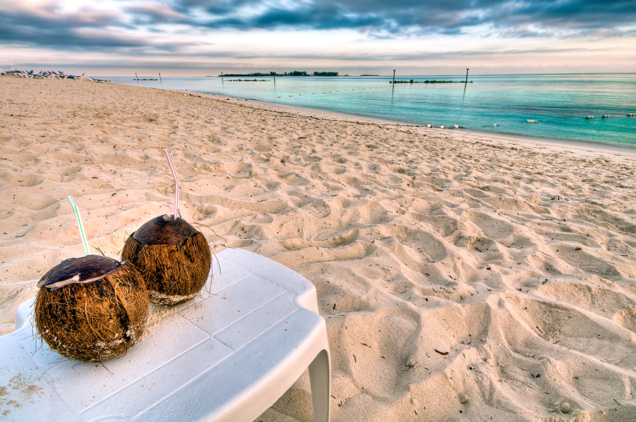 Two coconuts on the beach at Christmas time