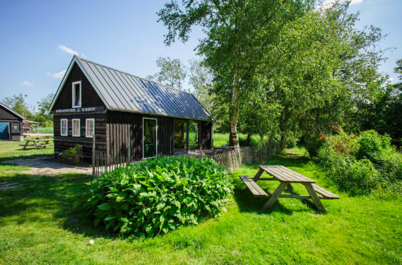 Houten huisje in Friesland omringd door veel groen en een picknicktafel in de tuin