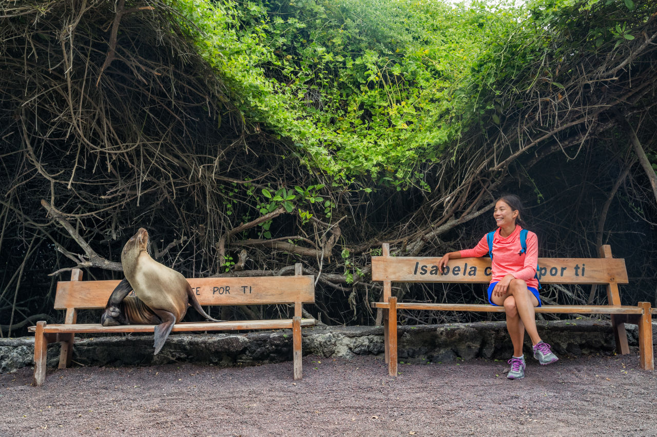 Woman and Seal on Beach in Galapagos