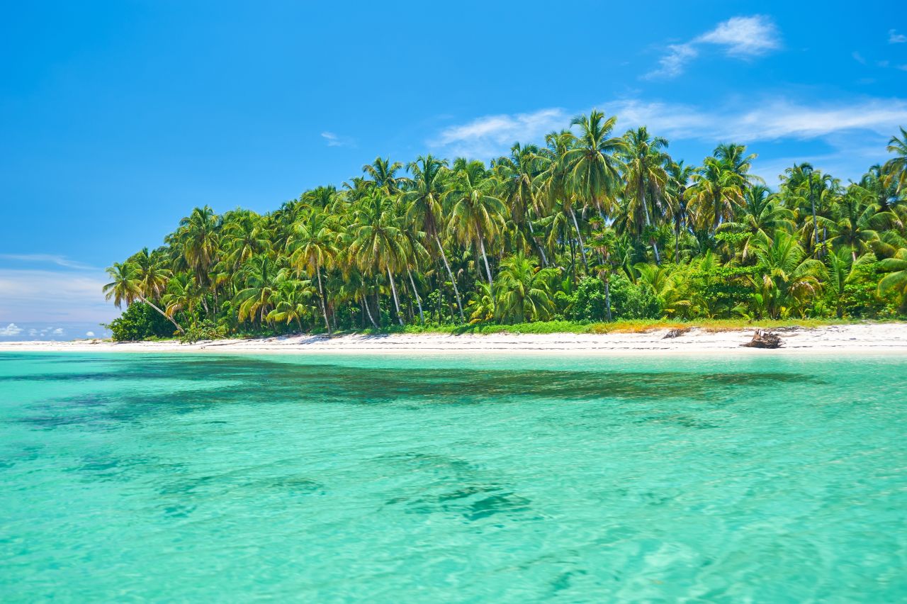 Blue waters and trees on a beach in Panama