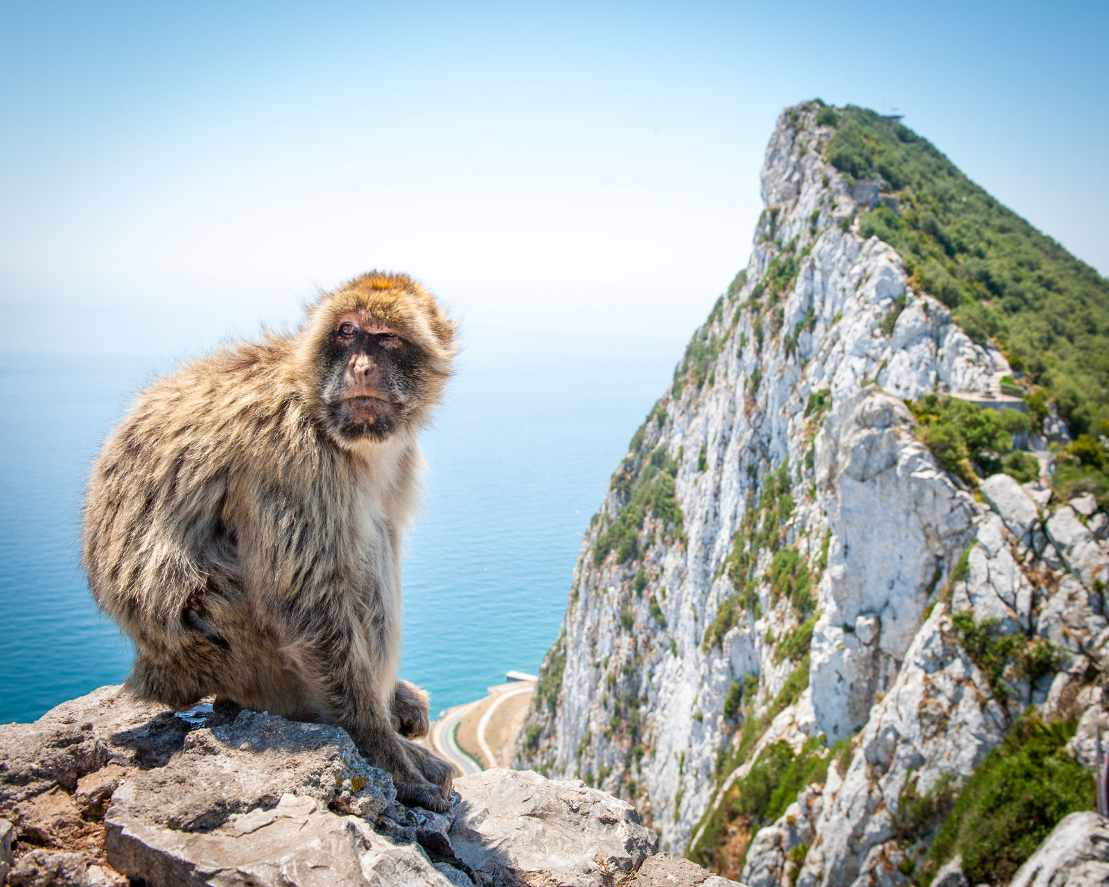 4nts Gibraltar summer break w/Holiday Inn hotel, breakfast & flights