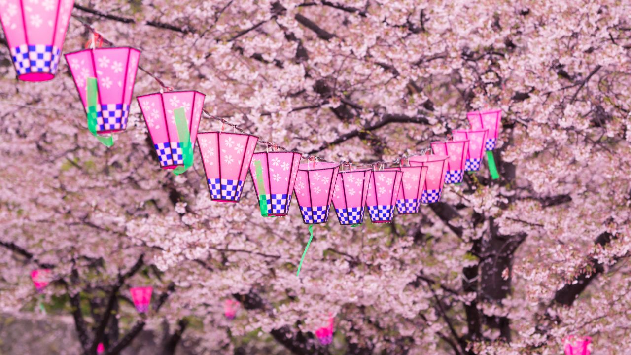 2023 Cherry Blossom Bloom Prediction for Japan