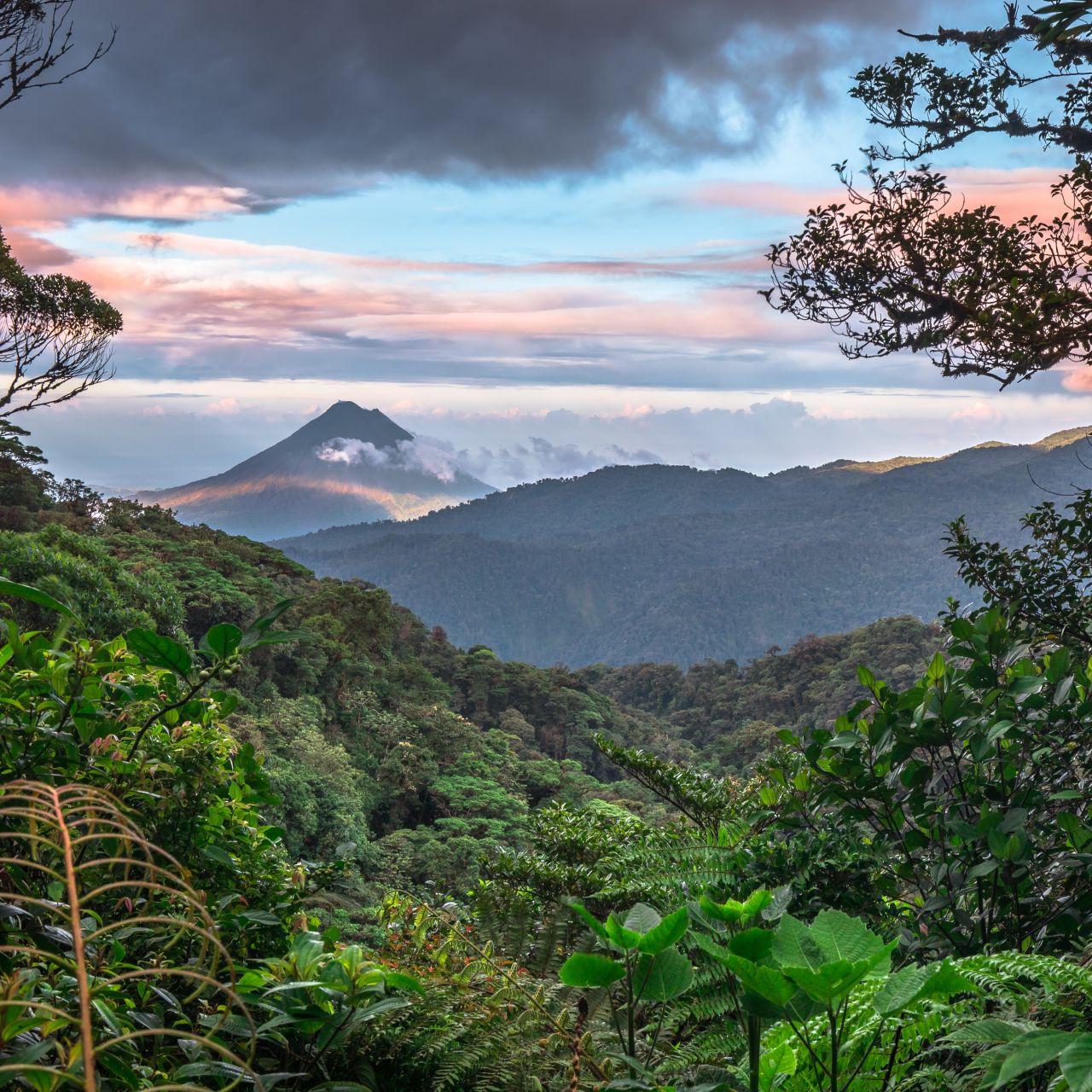 🌳 Zip & Trek COSTA RICA: INCREDIBLE Monteverde Cloud Forest