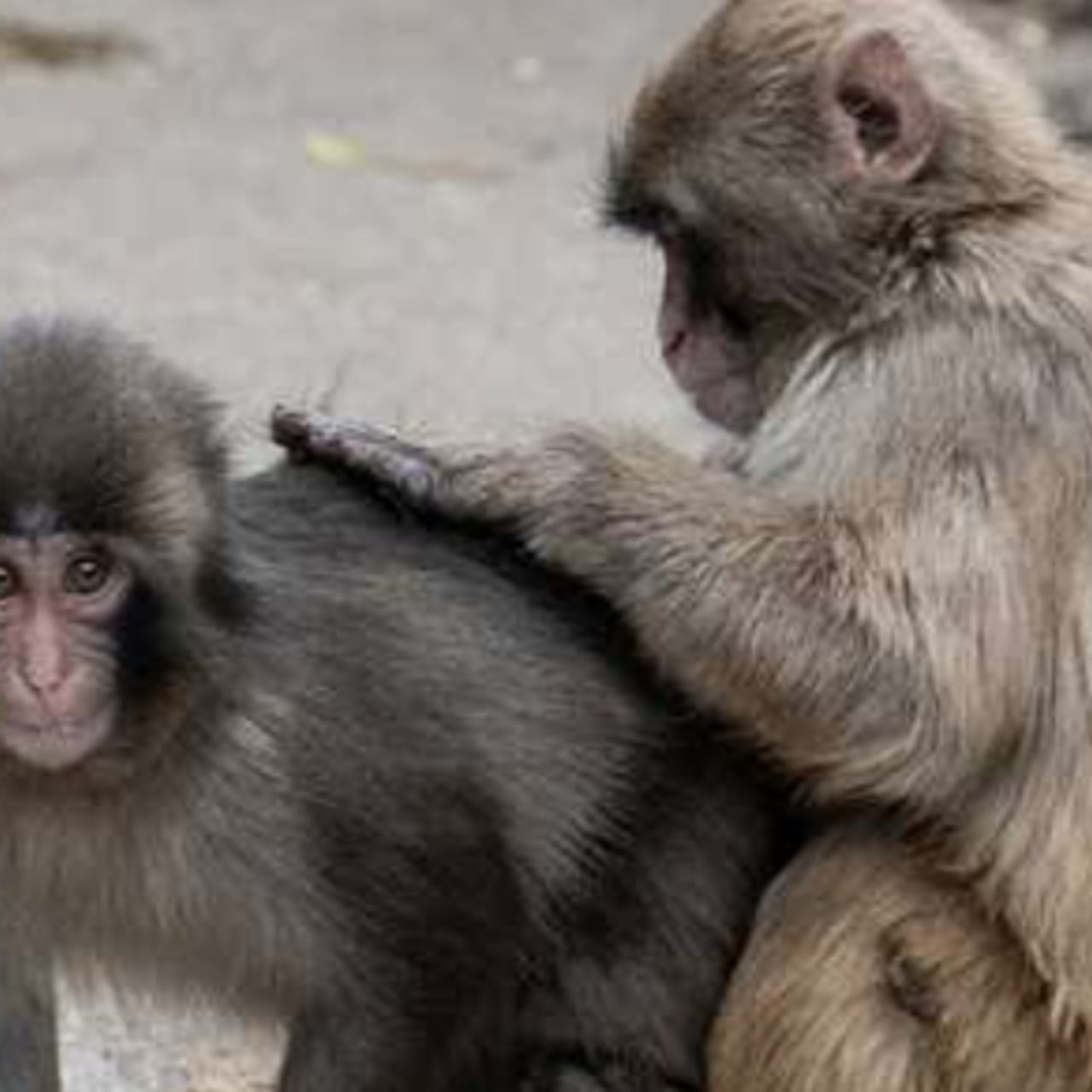 Inspiring Stories That Prove Good News Exists: Highlights from This Week