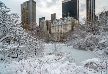 Live the Home Alone 2 Experience at the Plaza Hotel in NYC