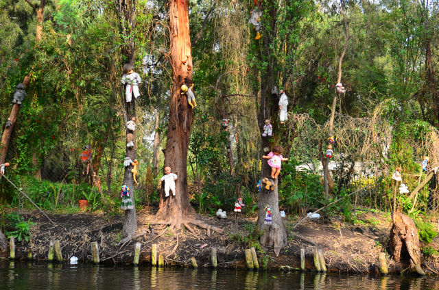 Poppen die hangen in de bomen op Isla de las Muñecas, Mexico.
