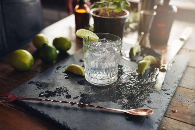 Gin en Tonic longdrink
