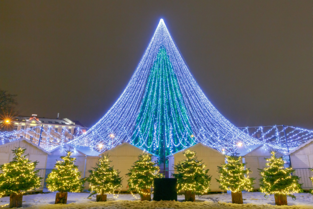 De iconische kerstboom van Vilnius op het Kathedraalplein omringd met marktkraampjes.