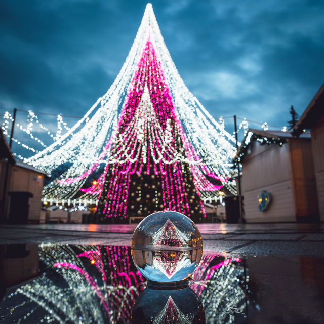 De iconische kerstboom van Vilnius, gekleed in het roze.