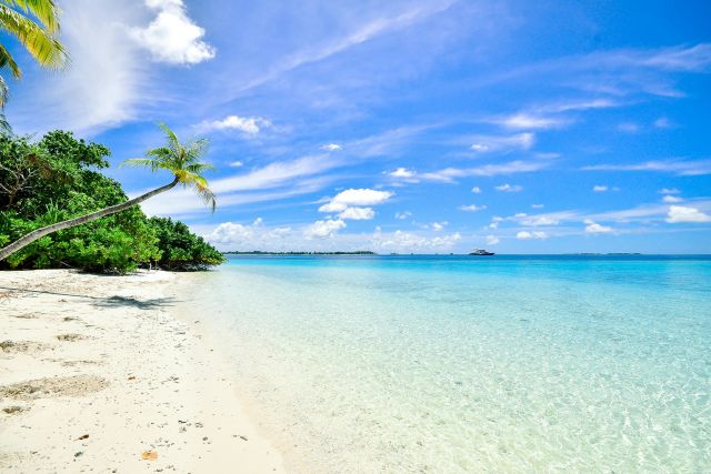 TravelPirates | Best Deals on Vacations, Flights & Hotels
