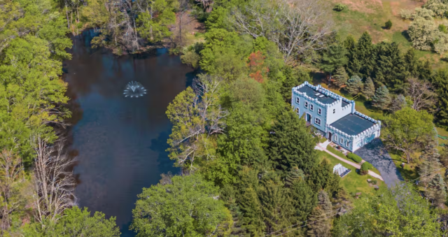 Castle and private pond