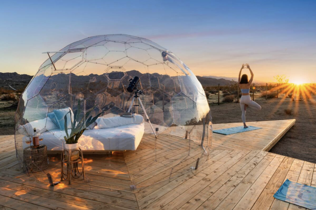Dome at Joshua Tree house