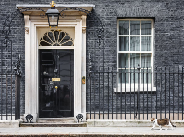brown and white tabby cat in front of 10 Downing Street