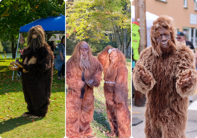 People dressed up in Sasquatch costumes