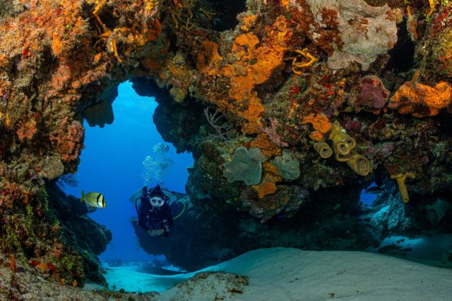 Coral reef in Cozumel