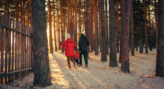 family walking together in the woods