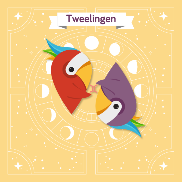 Ruby als het sterrenbeeld tweelingen.