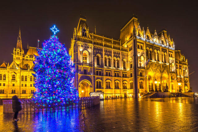 Blue Christmas tree lit up in the city center of Budapest
