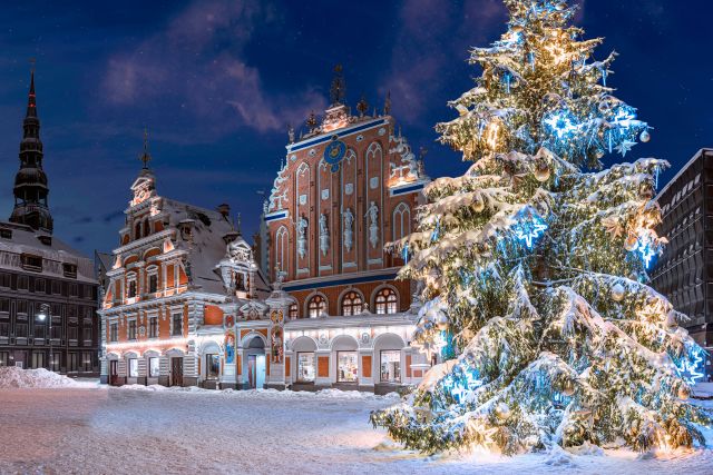 Snow covered tree and buildings in Riga