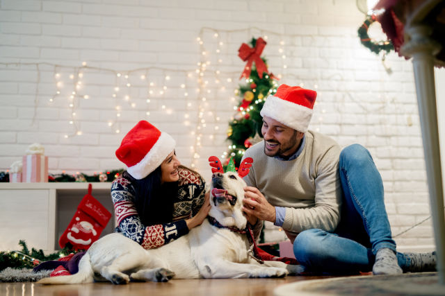 a couple wearing Santa hats petting their dog
