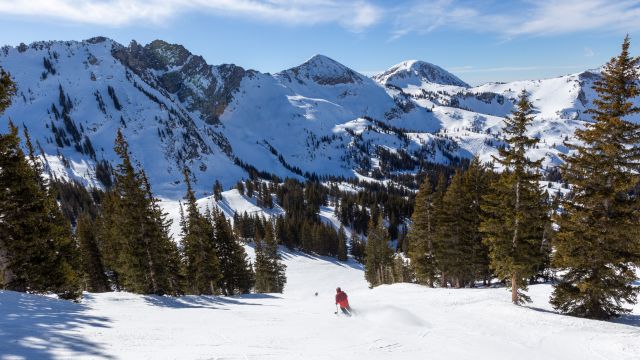 Skier making wide powder turns on an open slope at Snowbird in Utah’s Wasatch Range.