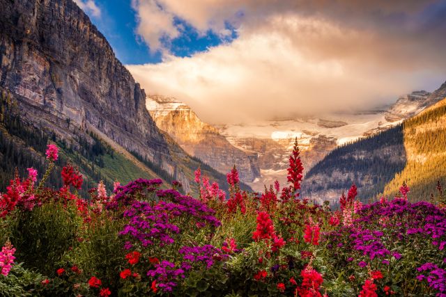 Canada Strong Pass 2026: Free National Parks, Museums, and Train Travel