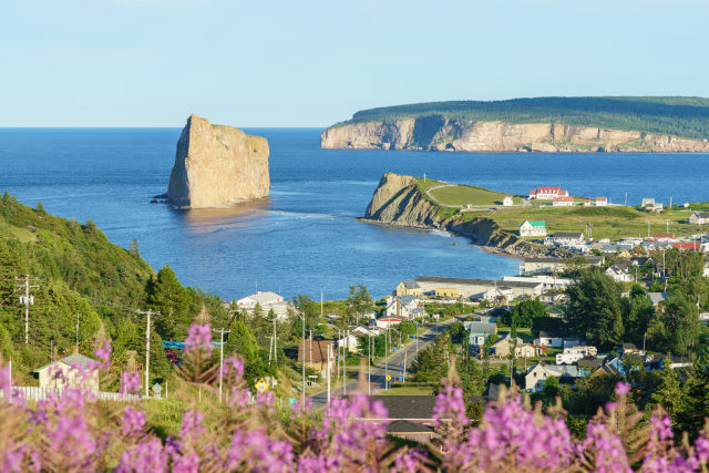 Town of Perce, Quebec in summer with pink wild flower in the foreground