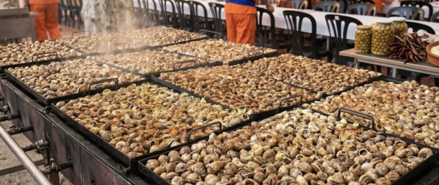 Large trays of grilled snails cooking outdoors at a traditional Catalan festival