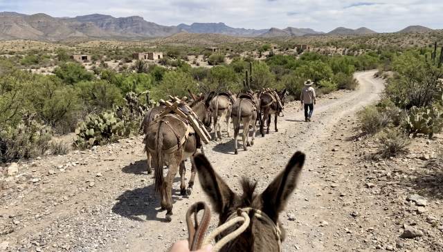 At Big Bend National Park, you can legally cross the Rio Grande, ride a donkey into Mexico, and have tacos and margaritas for lunch.