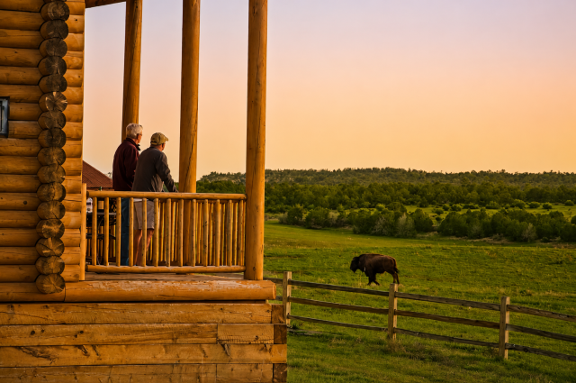 Quiet mornings, wide-open scenery, ranch animals, and rustic cabins set the tone at Zion Mountain Ranch