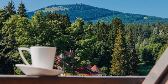 Aquapark i prywatna sauna w apartamencie od 309 zł ⚡️ ze śniadaniami i tajskim SPA 🥑